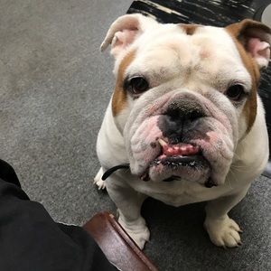 Meet your Posher, Jenny